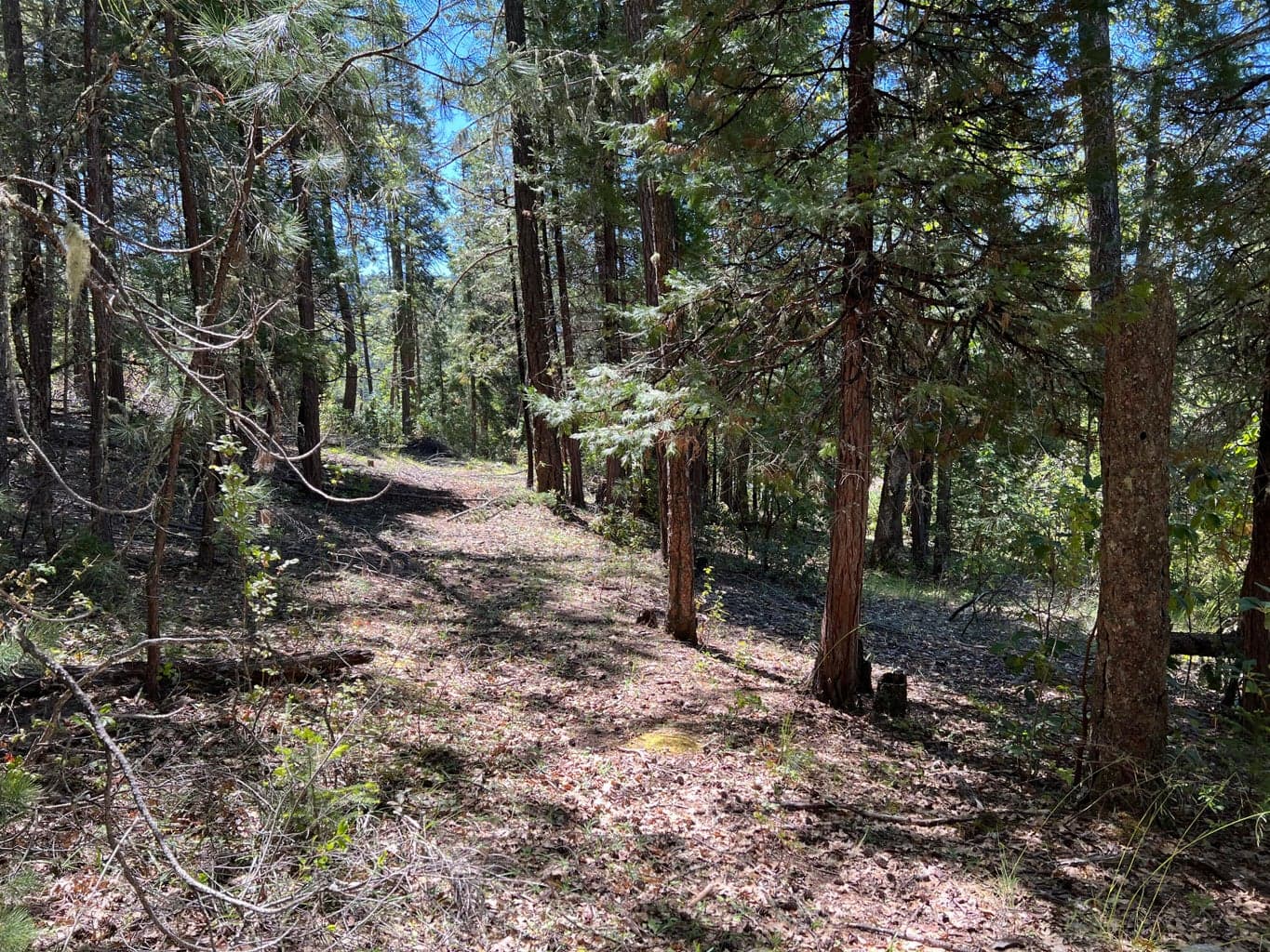 Photo of 00347 Flounce Rock Rd 4 of 12