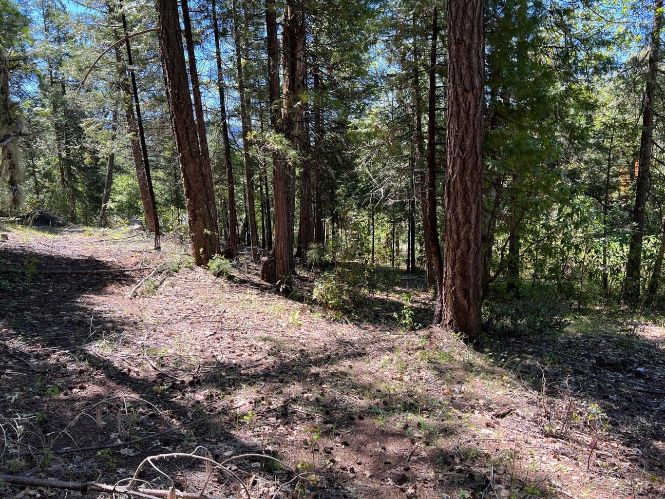 Photo of 00347 Flounce Rock Rd 5 of 12