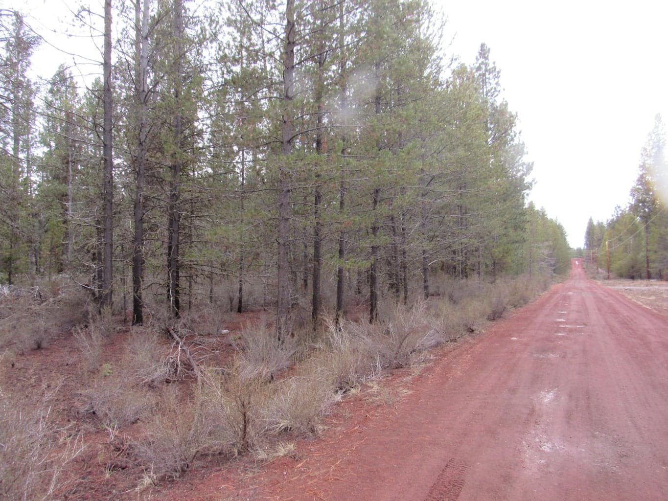 Photo of 0 Whitehorse 4 of 6