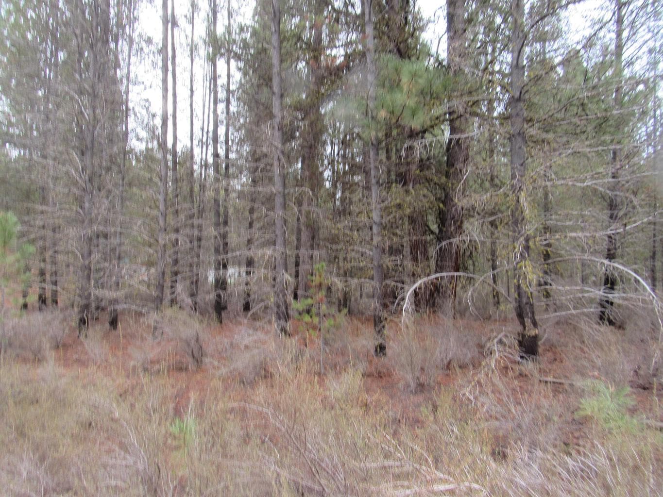 Photo of 0 Whitehorse 3 of 6