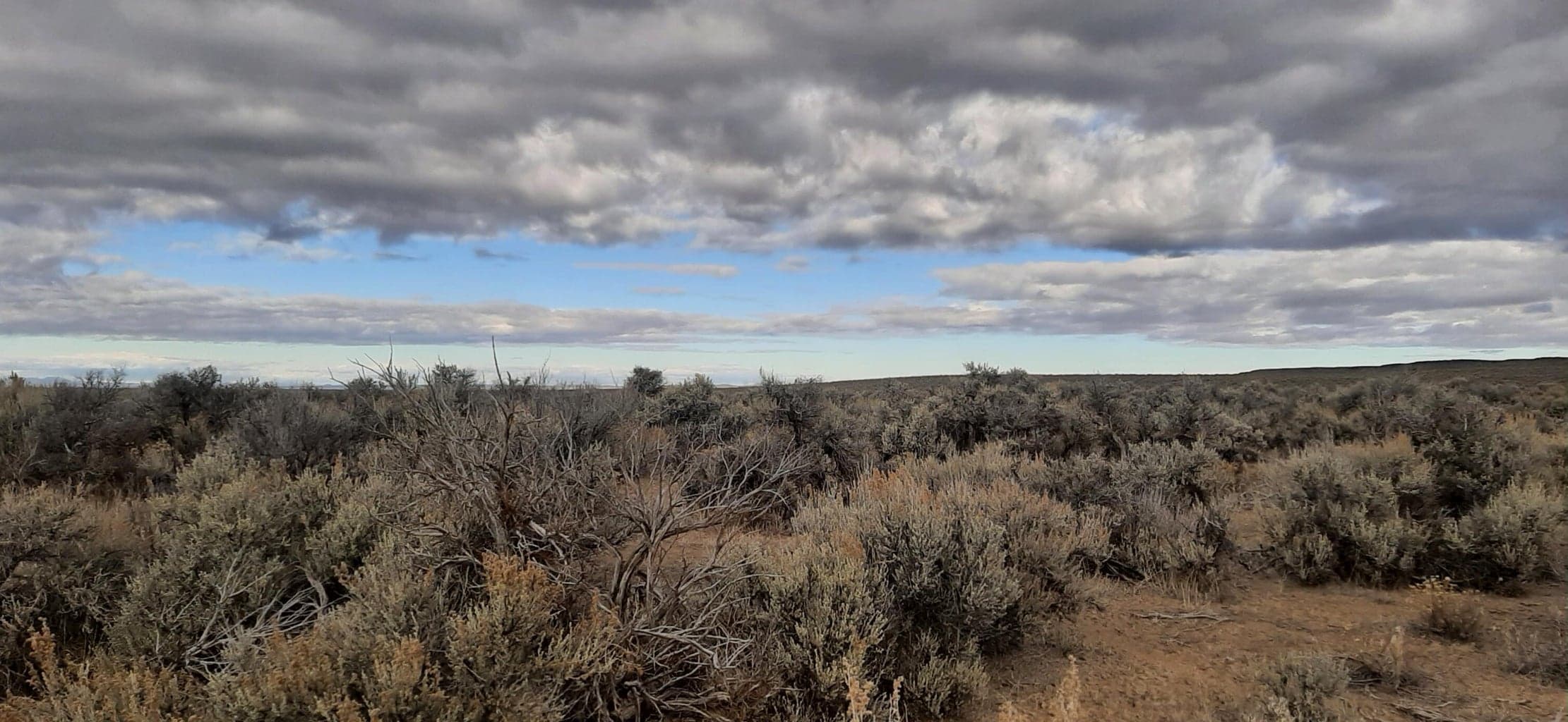 Christmas Valley Wagontire Hwy