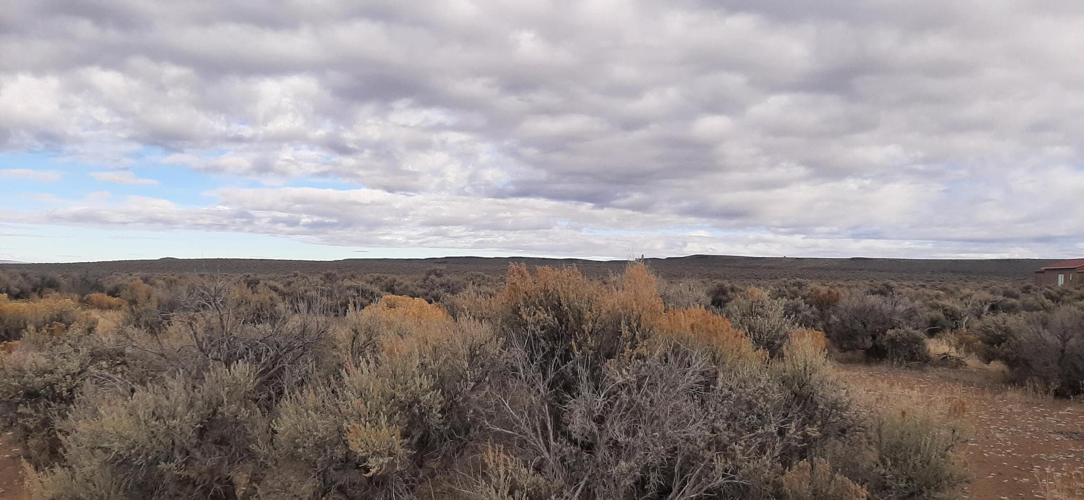 Photo of Christmas Valley Wagontire Hwy 4 of 11