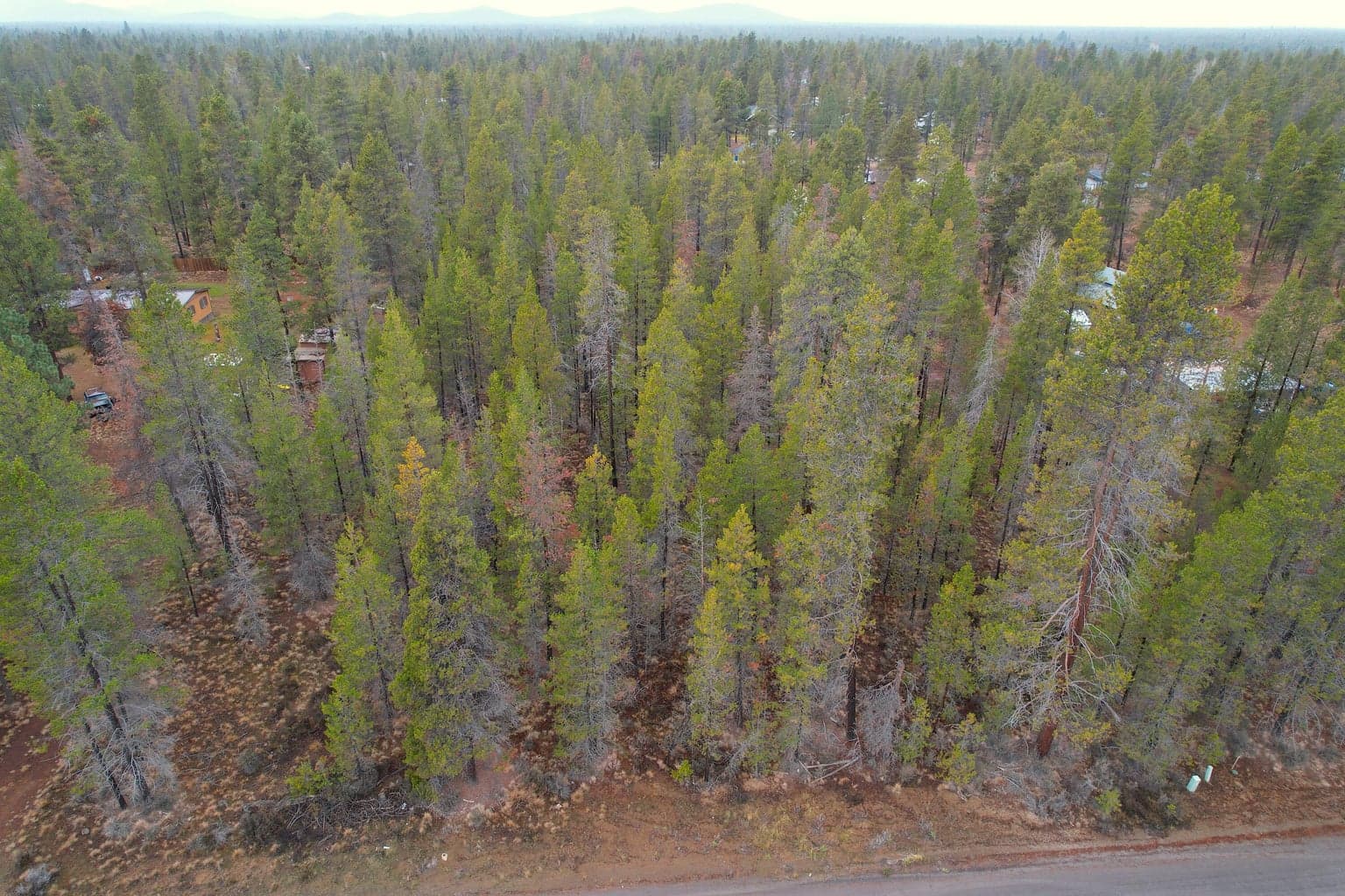 Photo of 52615 Railroad 5 of 8