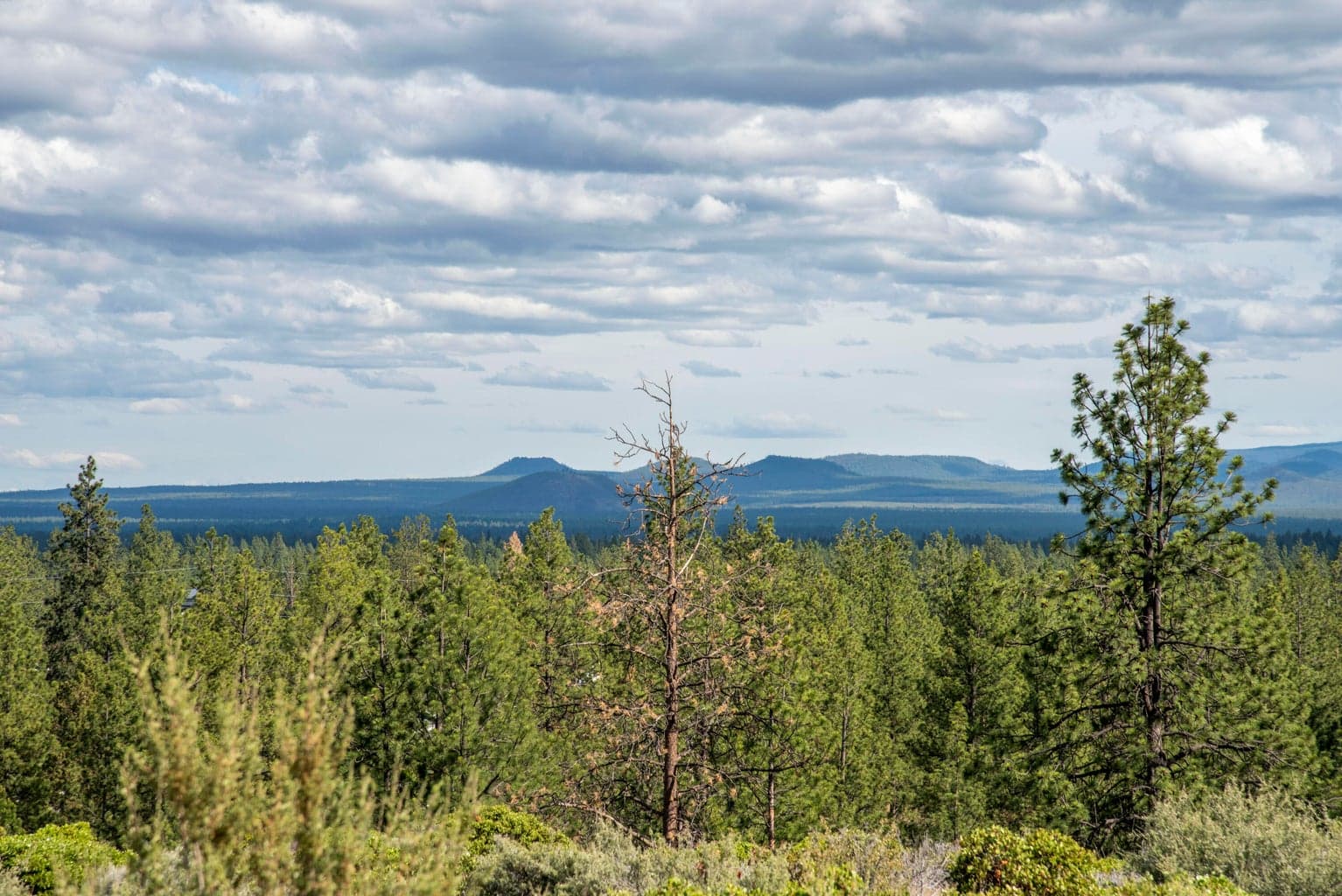 Photo of 19121 Horizon View 4 of 19