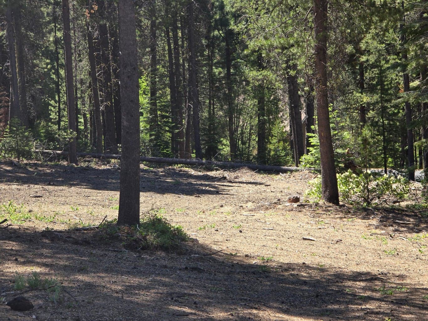 Photo of 19 Elk Haven 3 of 20