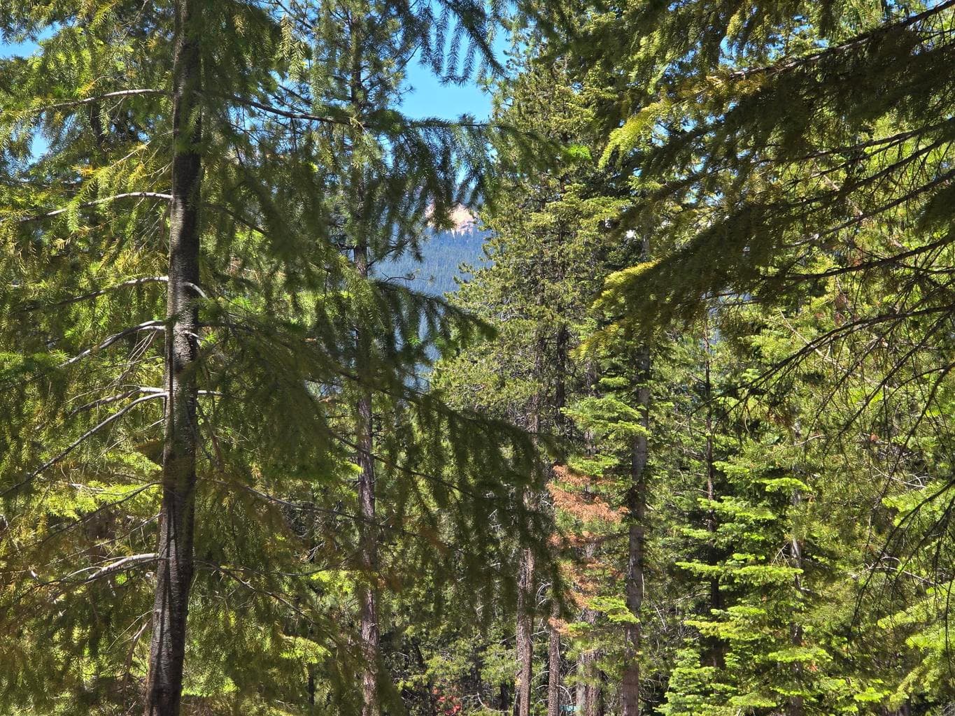 19 Elk Haven
