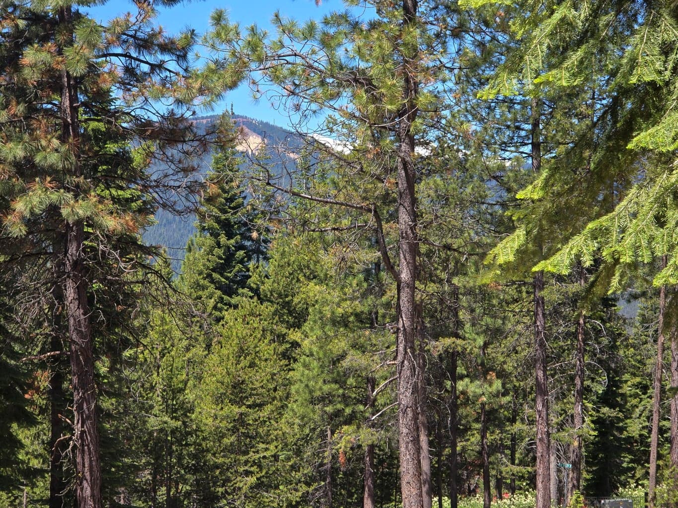 Photo of 19 Elk Haven 1 of 20
