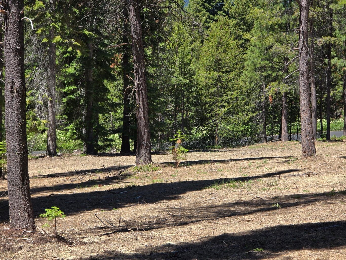 Photo of 19 Elk Haven 5 of 20