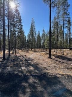 Photo of Pinewood 5 of 6