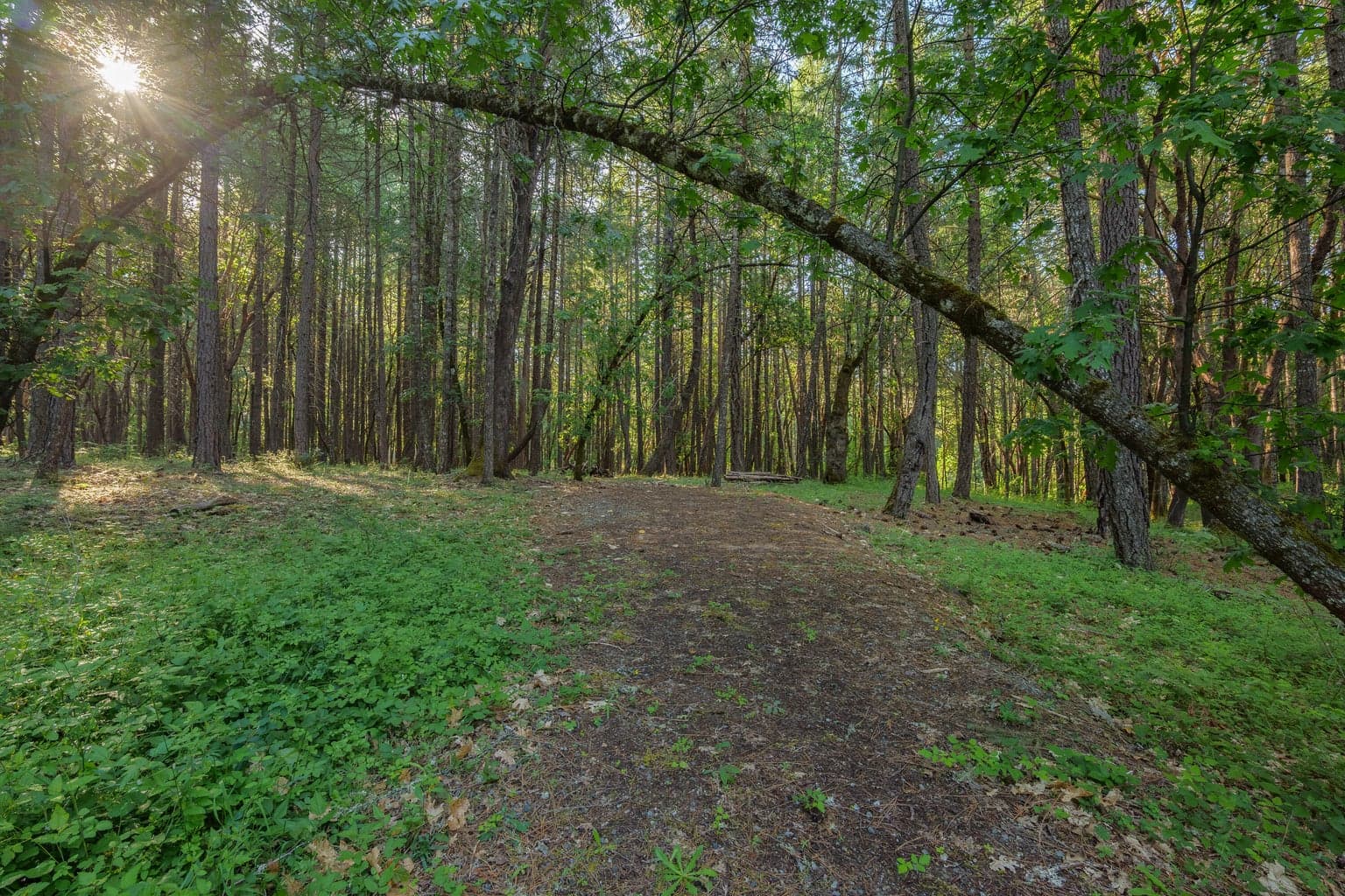 355 Firview, Wilderville, 97543
