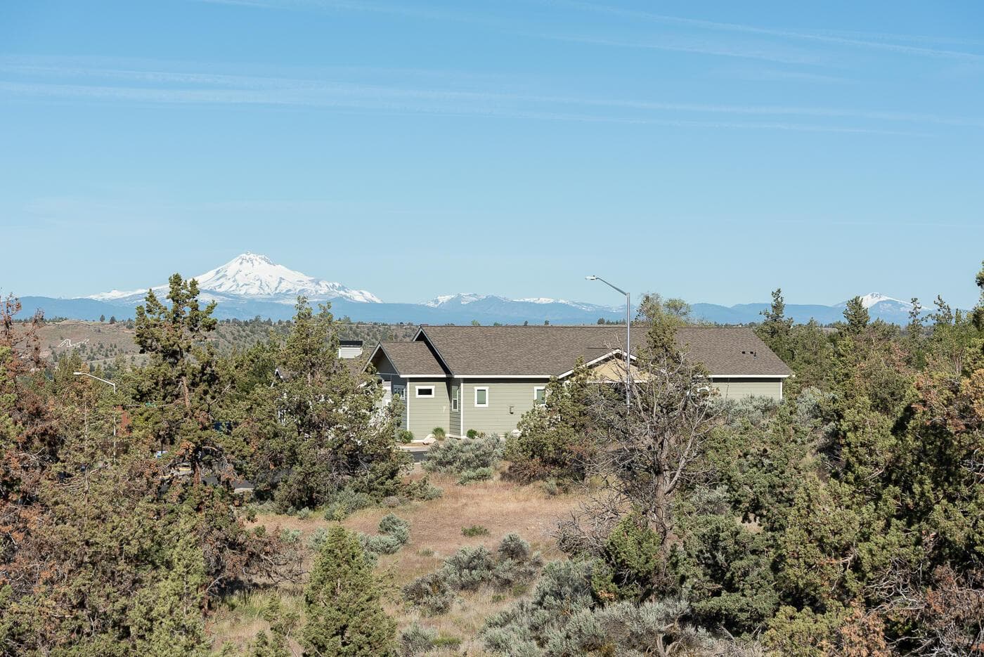 Photo of Larkspur 4 of 25