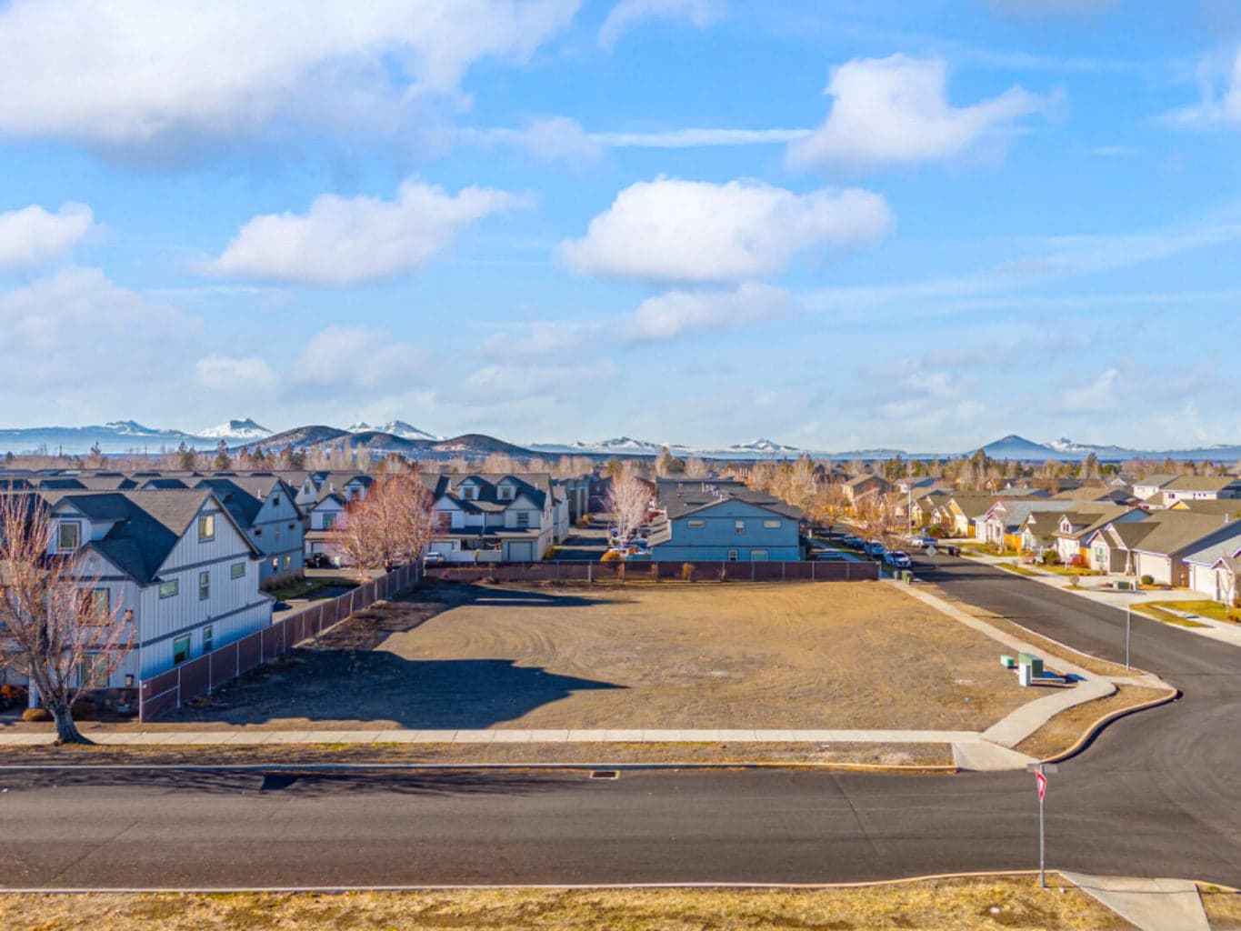 Photo of Elm 5 of 11