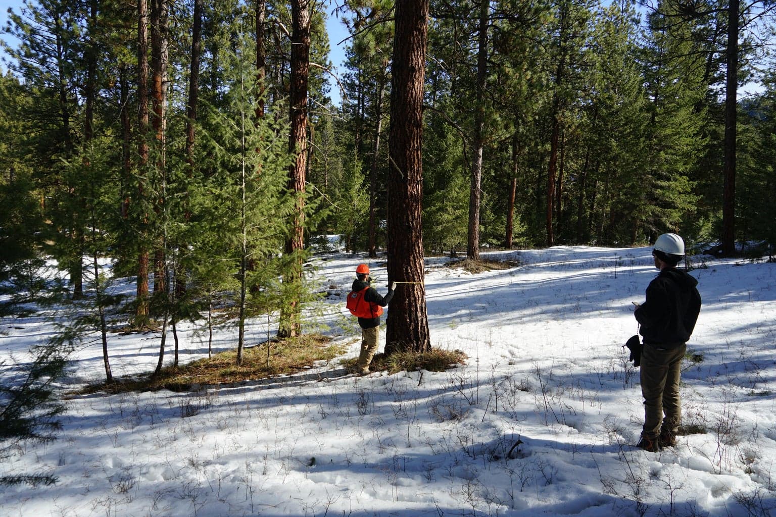 Photo of Franks Creek 5 of 29