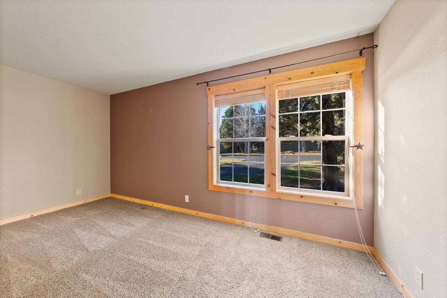 Photo of 1640 Cinnamon Teal Drive 22 of 46