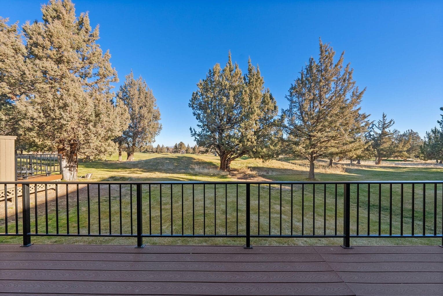 Photo of 1640 Cinnamon Teal Drive 41 of 46