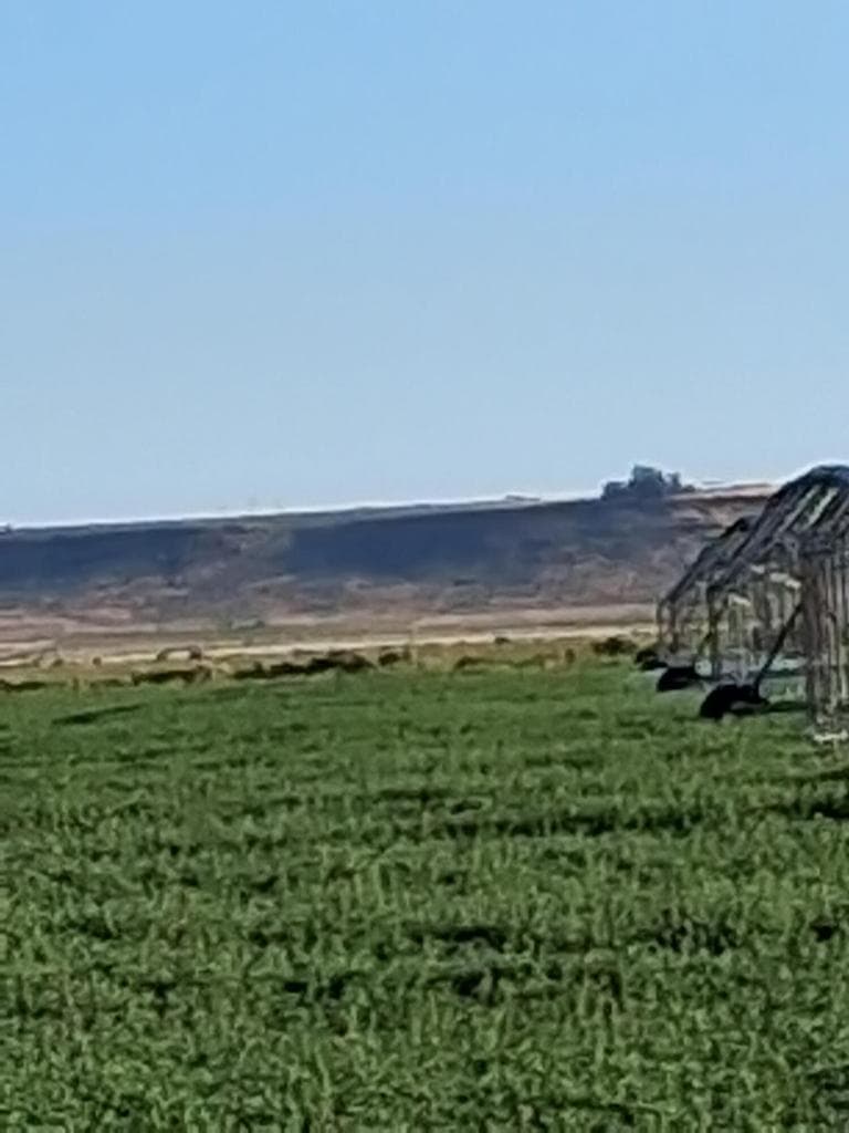 31643 L 5