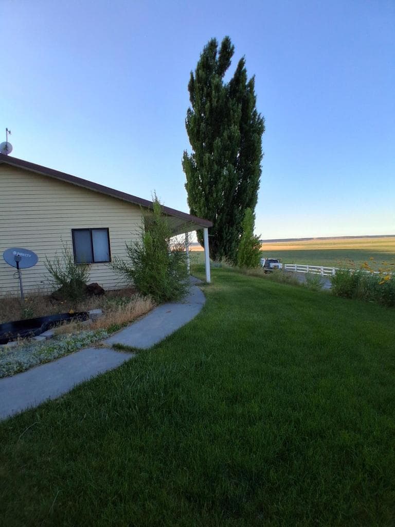 Photo of 31643 L 5 4 of 24