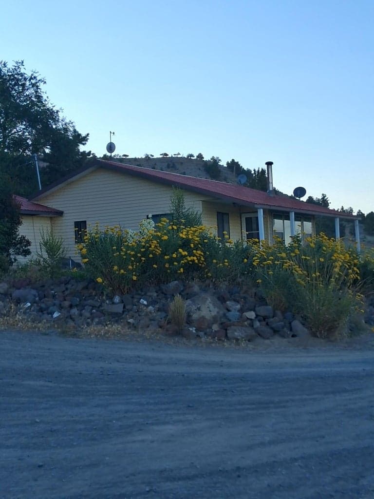 Photo of 31643 L 5 5 of 24