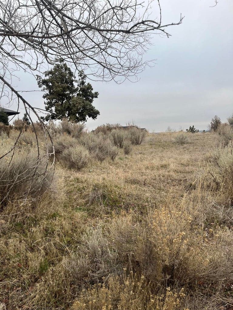 Land 2