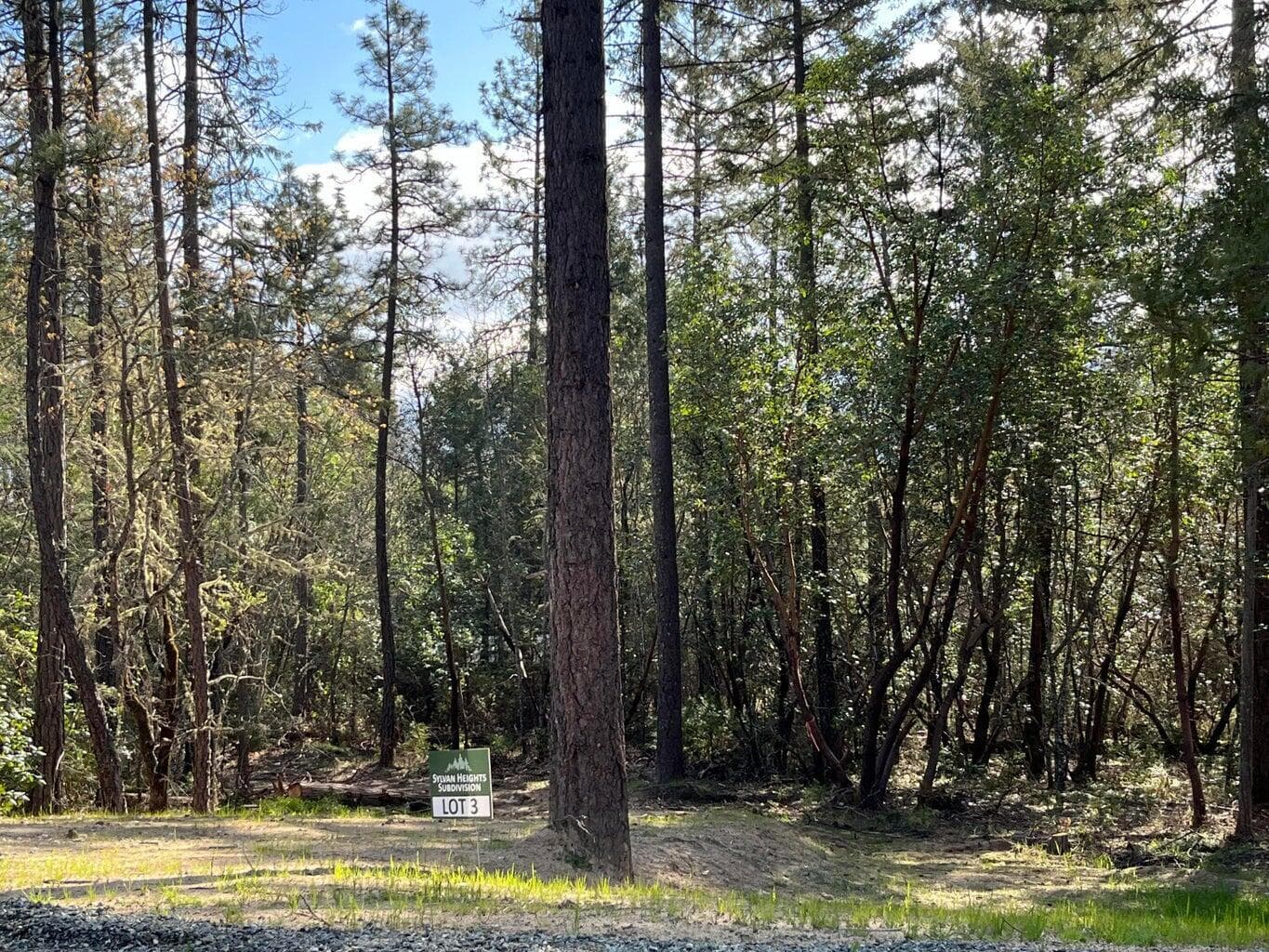 Photo of 3 Sylvan 2 of 7