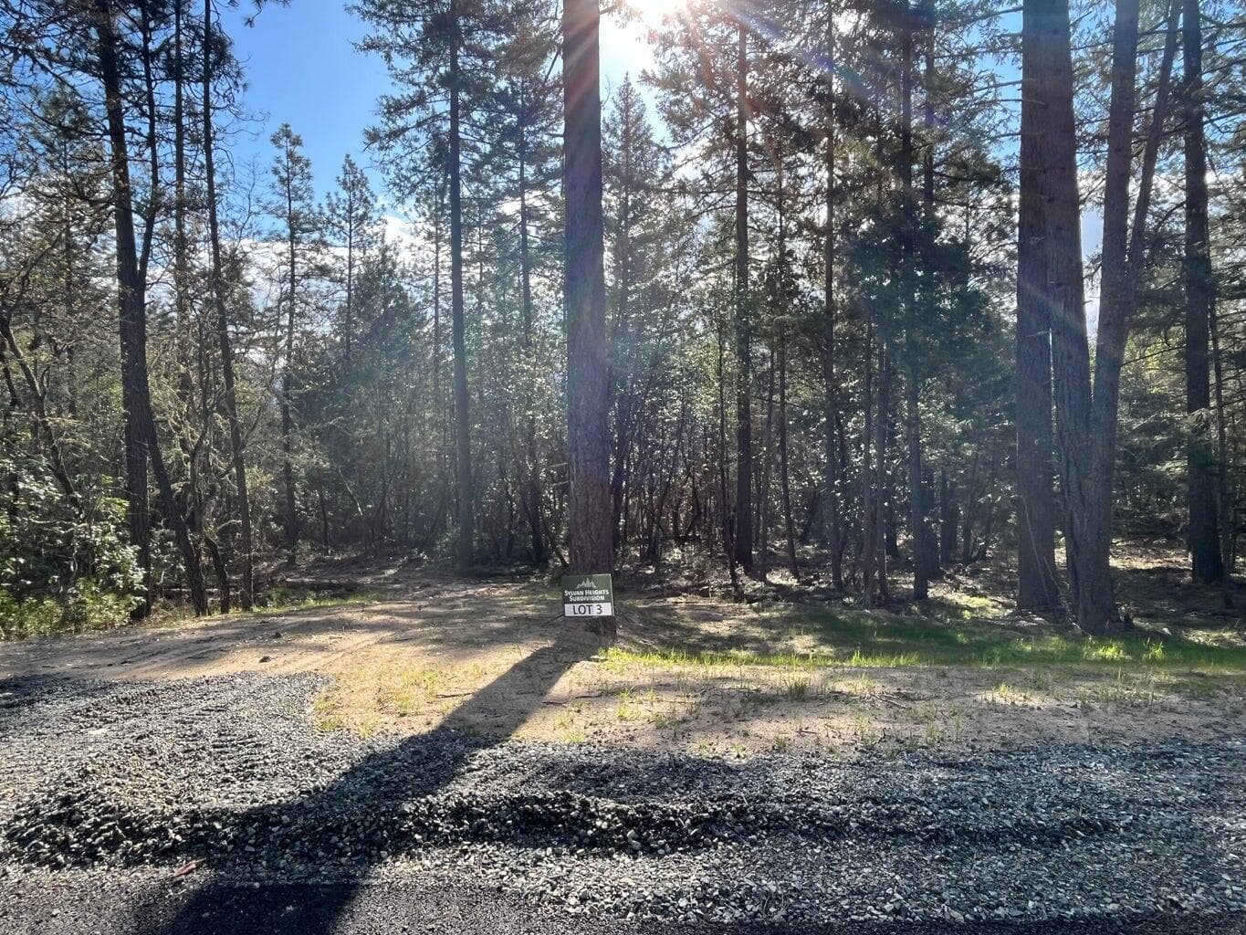 Photo of 3 Sylvan 4 of 7