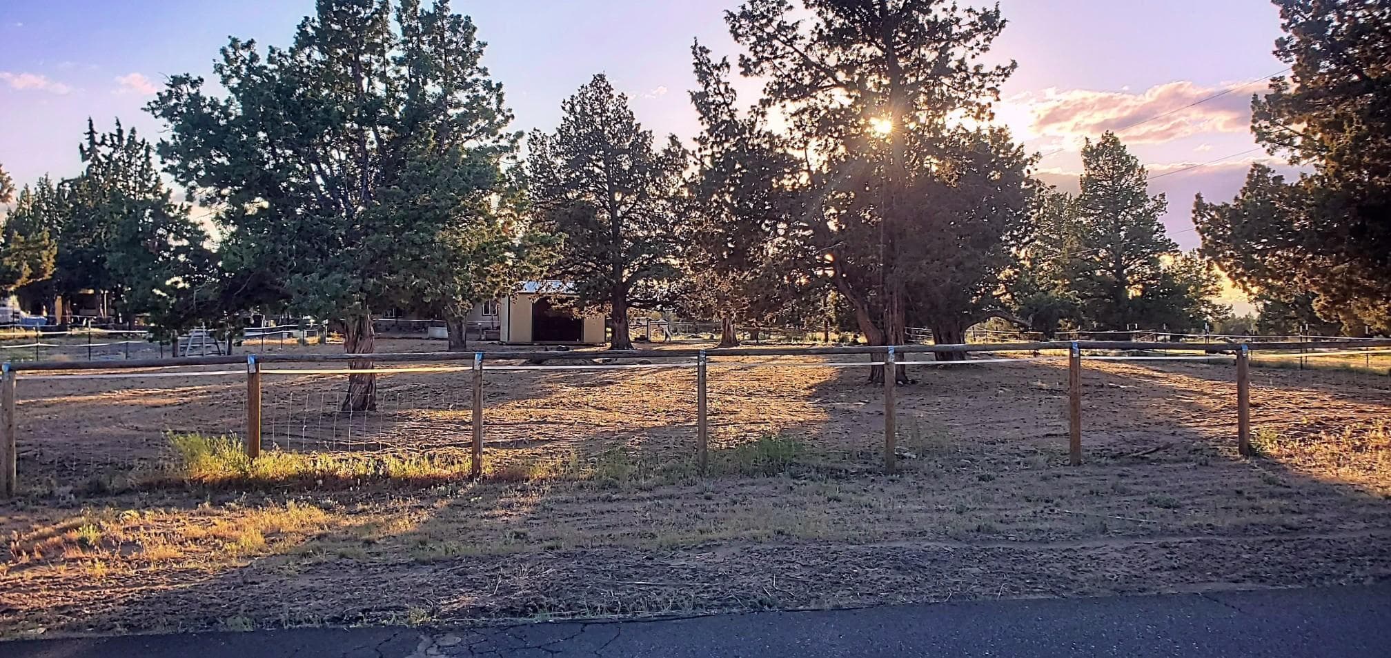 Fenced pasture area with mature juniper trees, ideal for horses or livestock, on 1.8-acre property backing BLM land