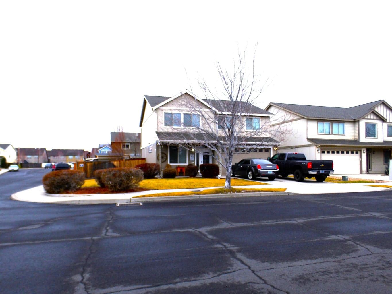 2885 Juniper