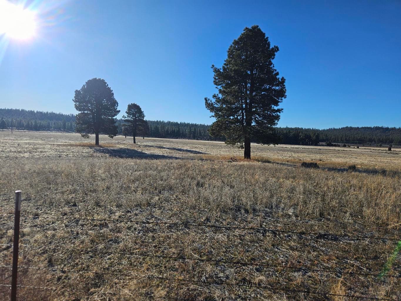 31747 Godowa Springs, Beatty, 97621