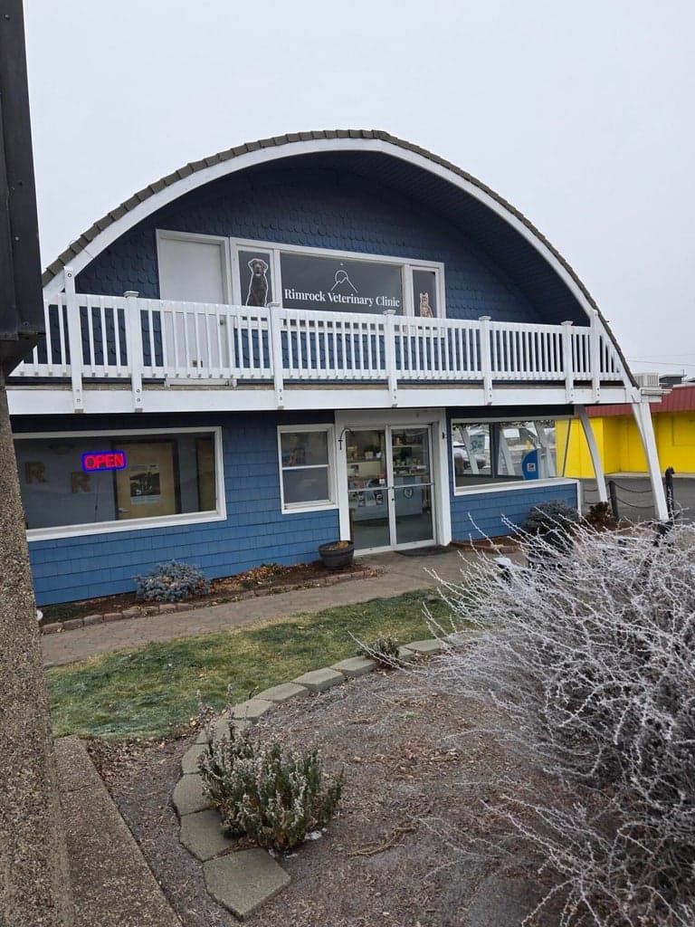 Photo of 1037 6th 2 of 8