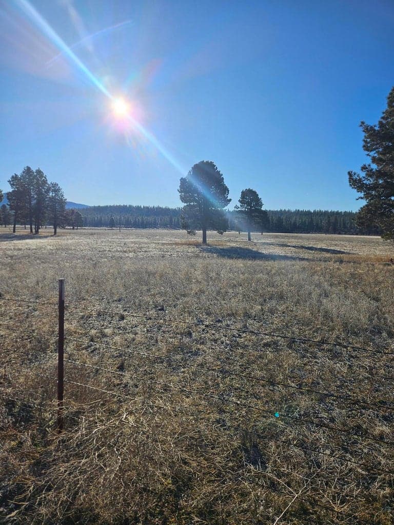 Photo of 31747 Godowa Springs 5 of 23