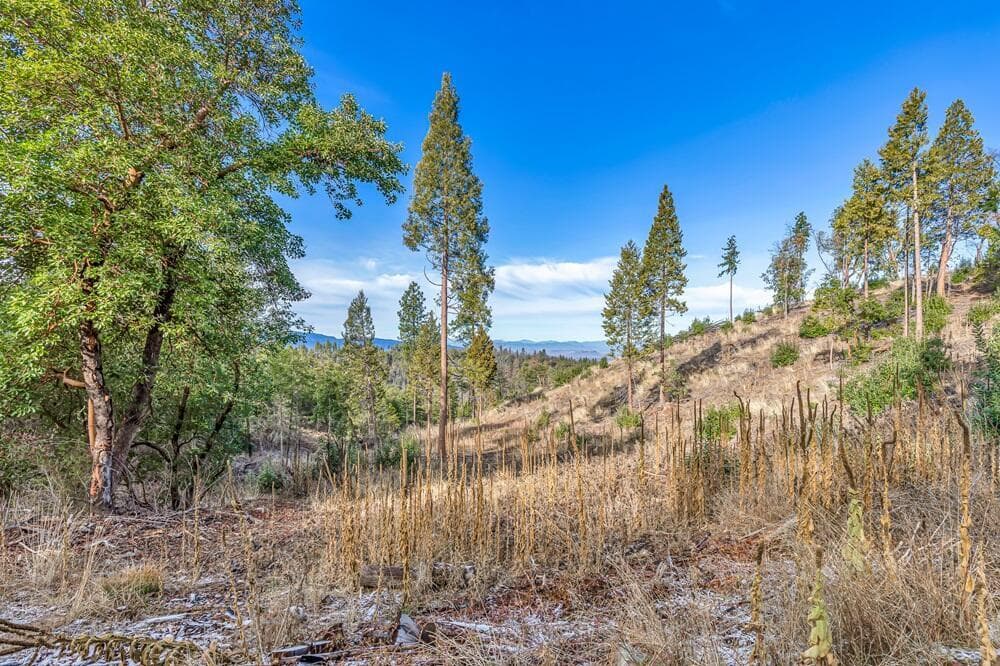 Photo of Griffin Creek 5 of 18