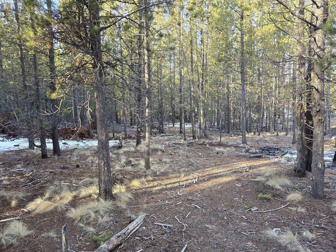 Photo of 16852 ELSINORE RD 2 of 4