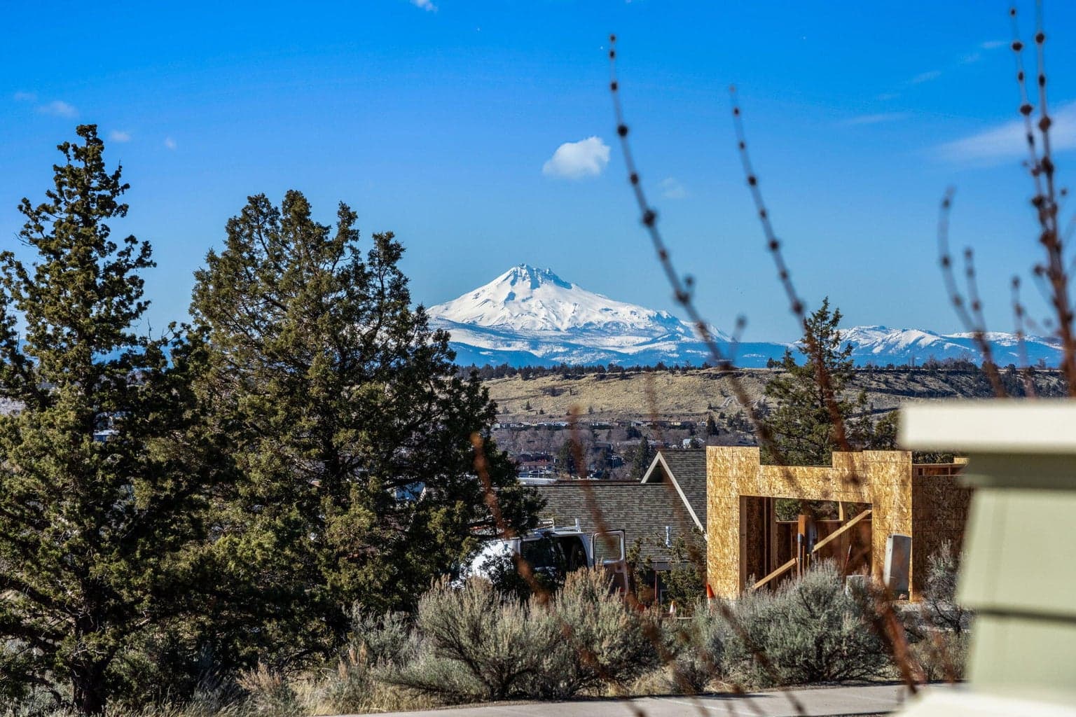 Photo of 501 Larkspur 4 of 60