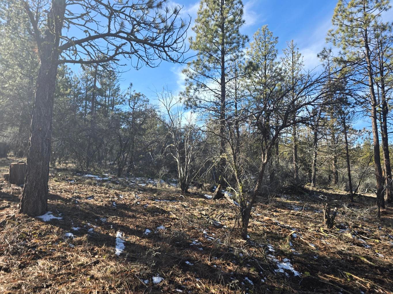 Photo of 0 Partin 5 of 16