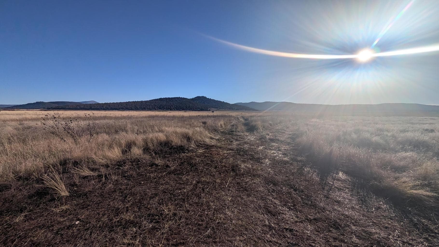 Photo of Deschutes 1 of 17