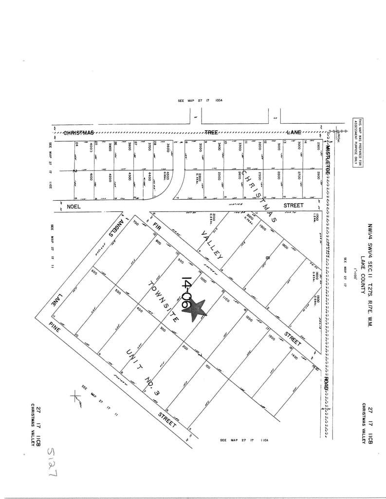 Photo of Fir 5 of 7