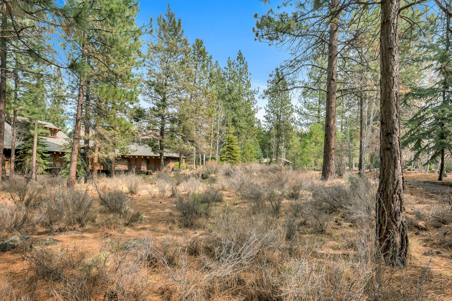 Photo of 19374 Rim Lake 2 of 14