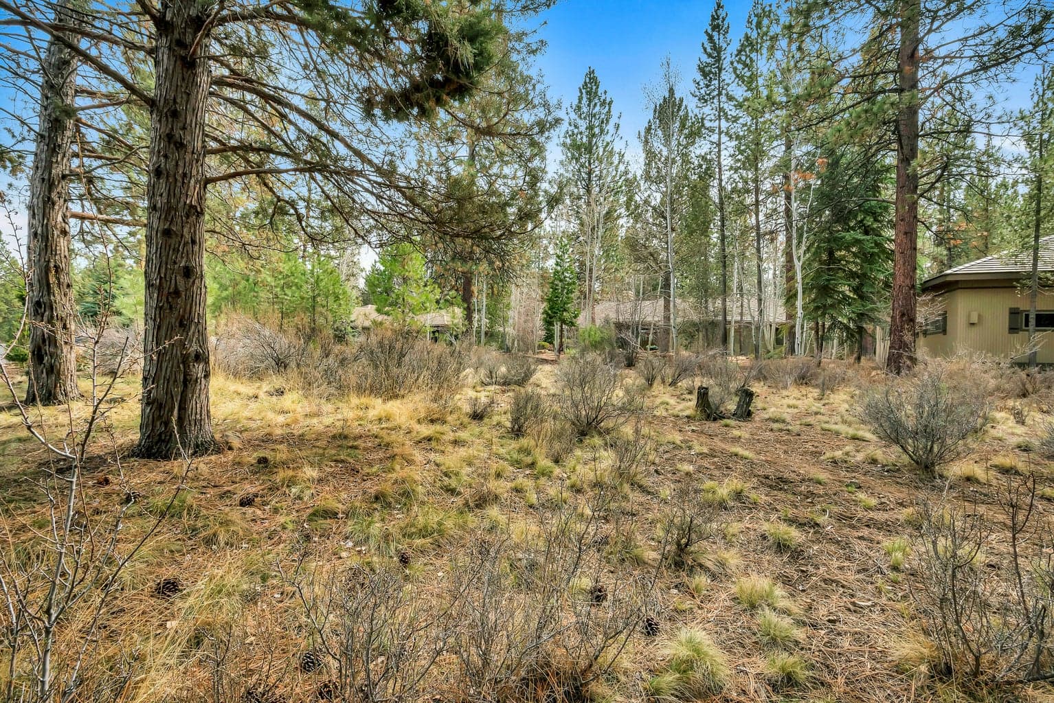 Photo of 19374 Rim Lake 4 of 14