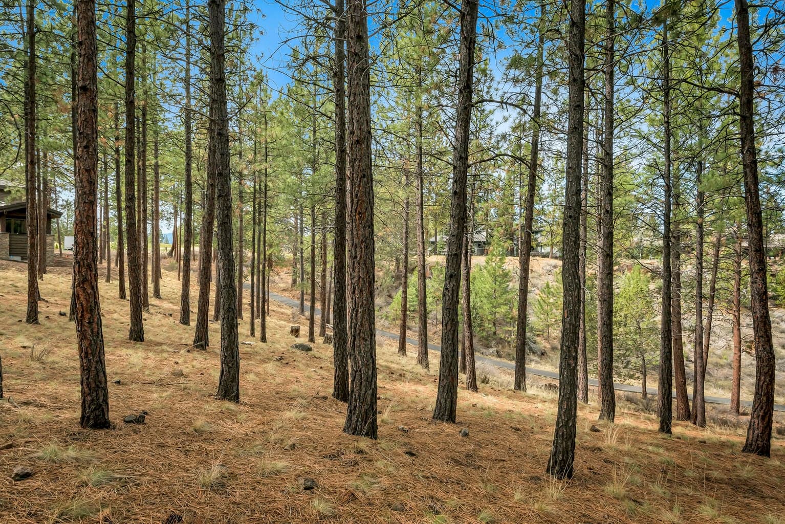 Photo of 19374 Rim Lake Court 7 of 14