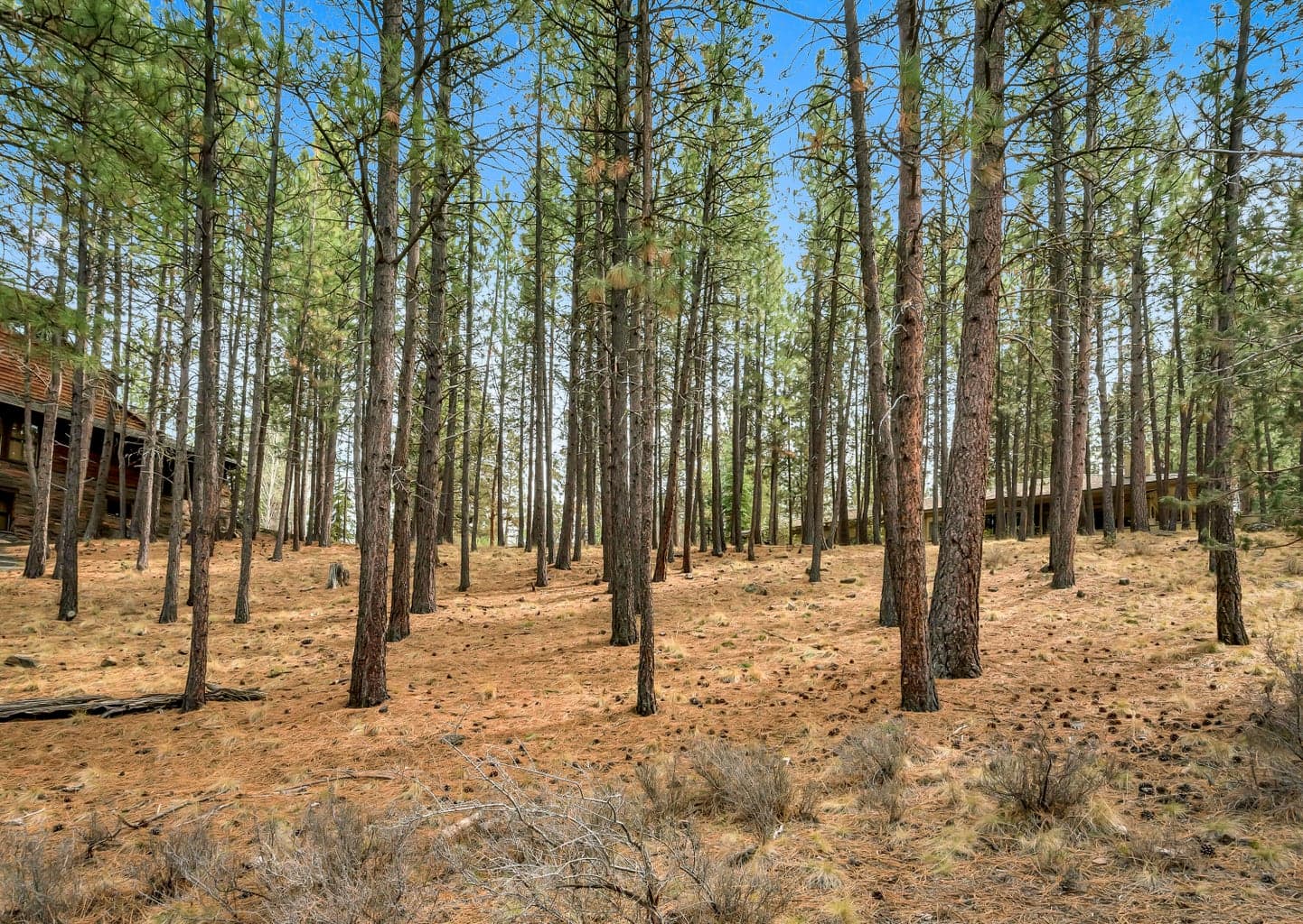Photo of 19374 Rim Lake Court 9 of 14