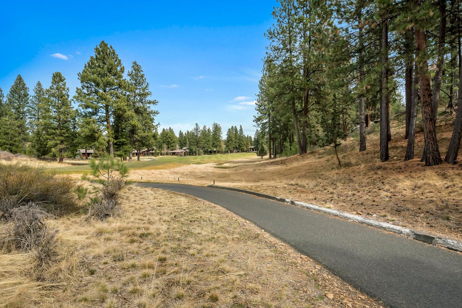 Photo of 19374 Rim Lake Court 10 of 14