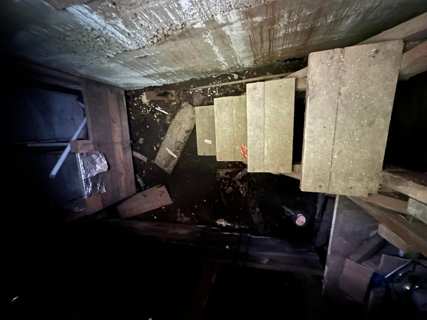 Cellar