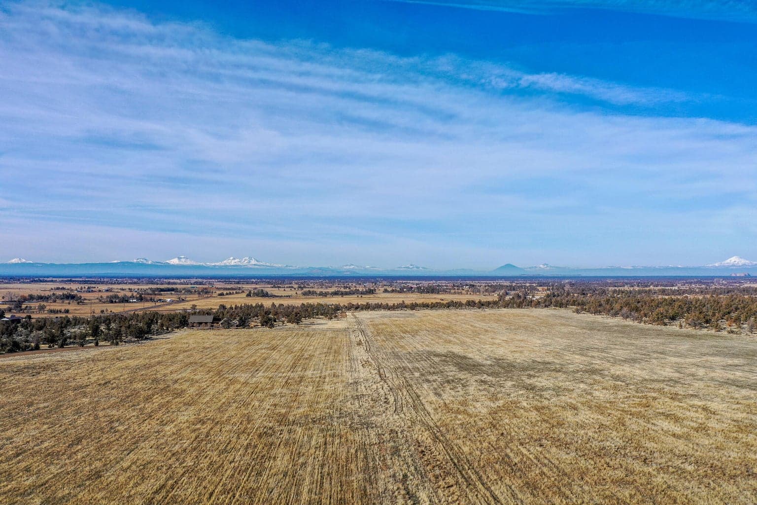 Photo of 2 Wiley Road 7 of 11