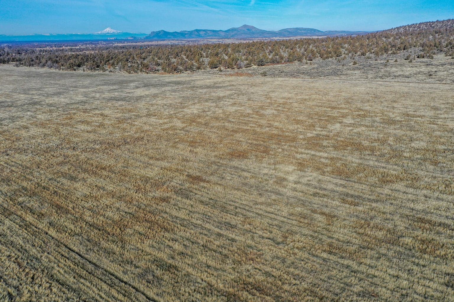 Photo of 2 Wiley Road 8 of 11