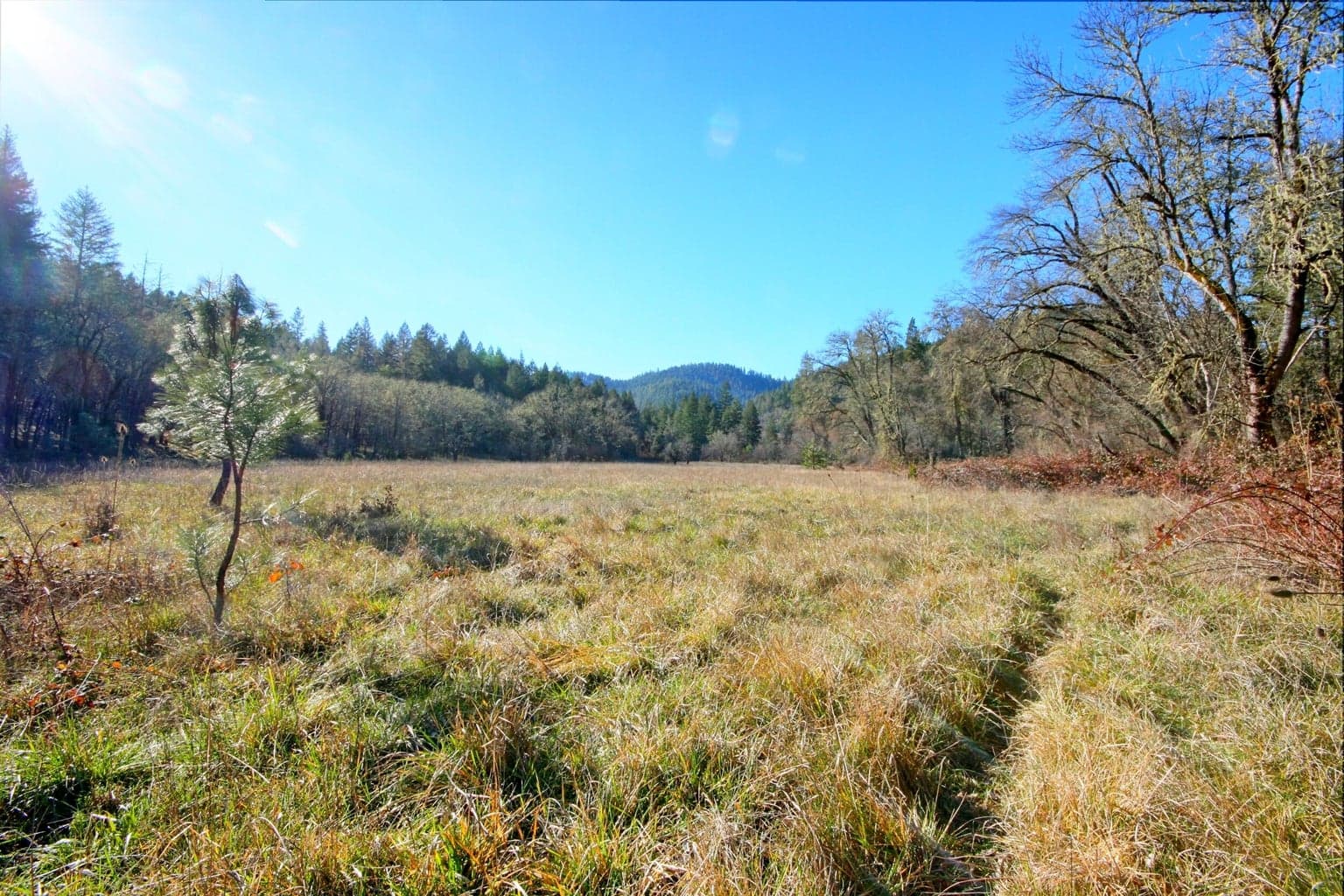 Photo of 5000 Thompson Creek 3 of 71