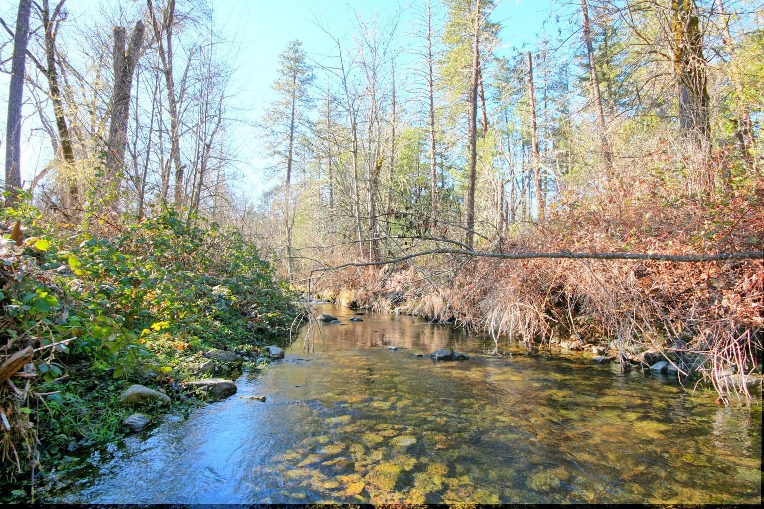 Photo of 5000 Thompson Creek 4 of 71