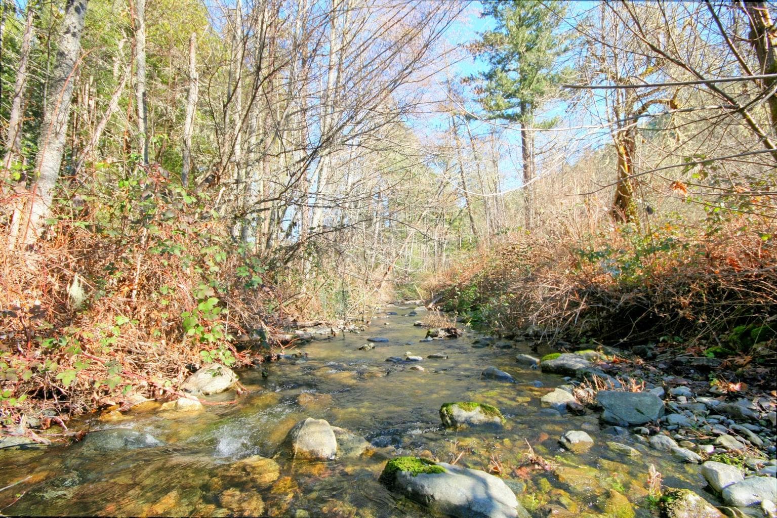 5000 Thompson Creek, Applegate, 97530