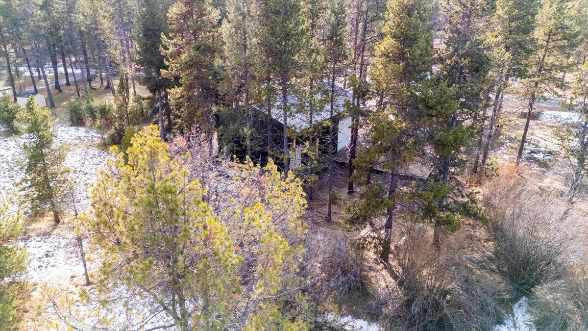Native trees providing privacy
