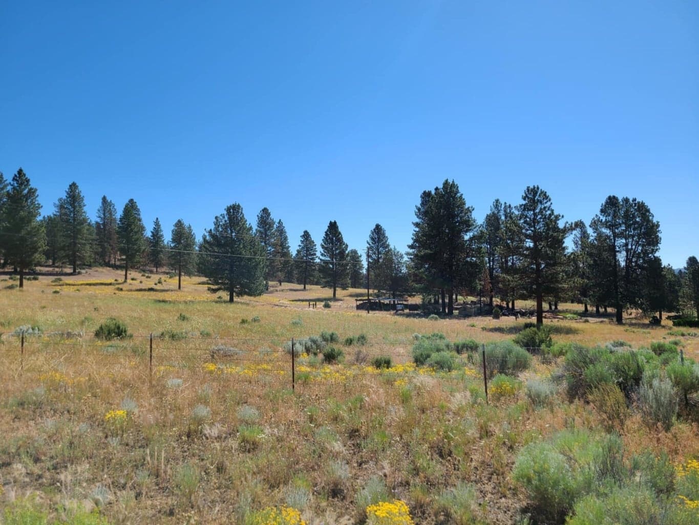 Photo of 31747 Godowa Springs 3 of 23