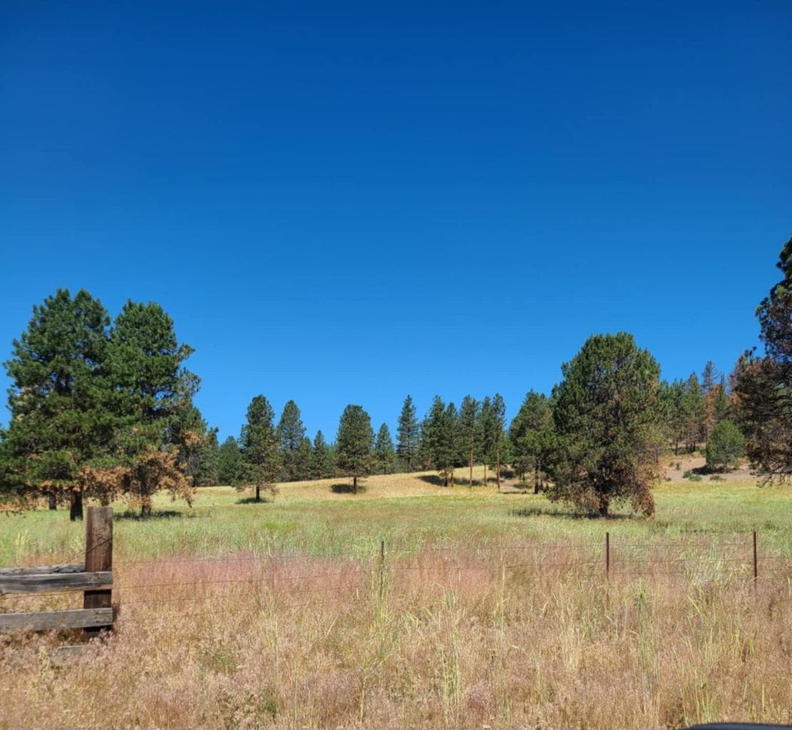 Photo of 31747 Godowa Springs 2 of 23